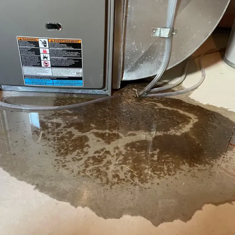 Appliance Leak Cleanup in Wellington, CO